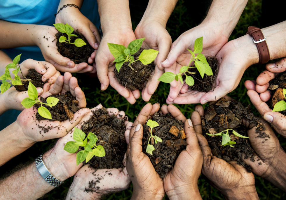 Our Legacy. Plant a tree.
